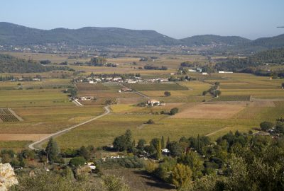 Champs de vignes au nord de Pierrefeu. Photo © André M. Winter