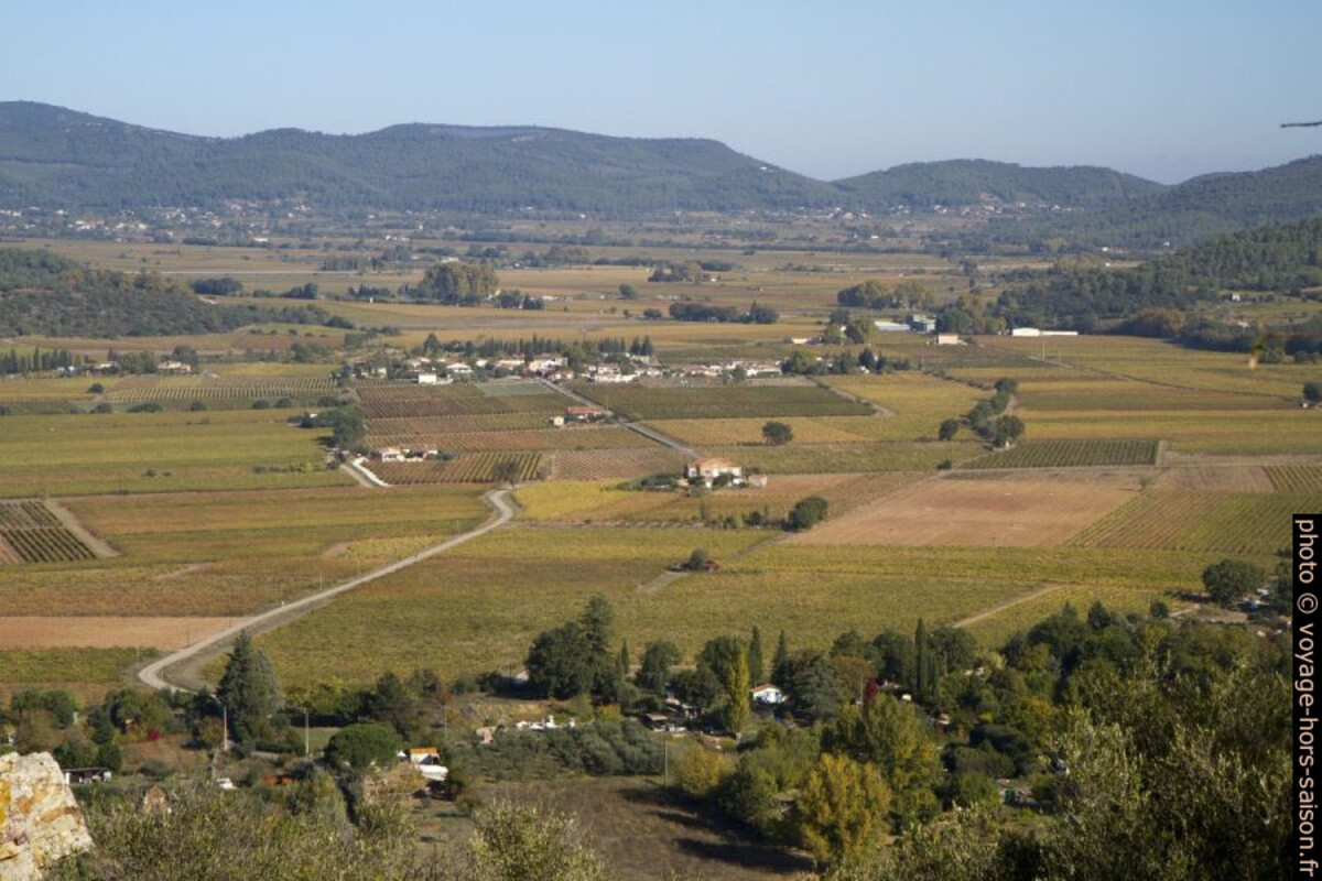 Champs de vignes au nord de Pierrefeu. Photo © André M. Winter