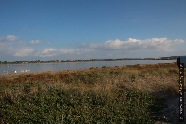 Observation de flamants roses à l'Etang des Pesquiers. Photo © André M. Winter