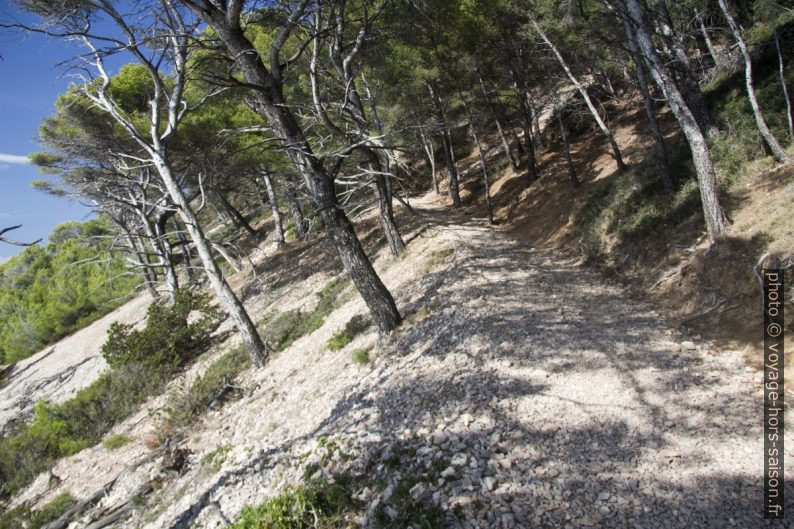 Chemin à l'ouest de la Pointe Fauconnière. Photo © Alex Medwedeff