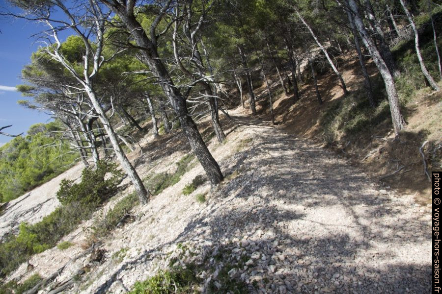 Chemin à l'ouest de la Pointe Fauconnière. Photo © Alex Medwedeff