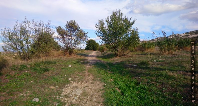 Sentier sous le Chemin de la Chapelle St. Michel. Photo © André M. Winter