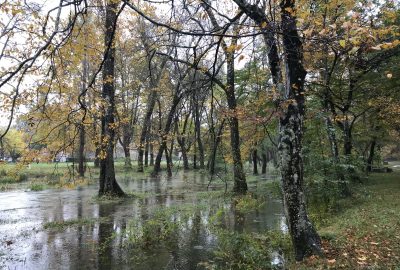 Allée inondée en aval de la Source de l'Avèze. Photo © Alex Medwedeff