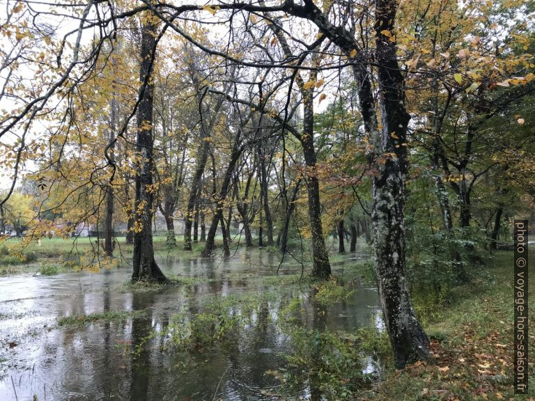 Allée inondée en aval de la Source de l'Avèze. Photo © Alex Medwedeff