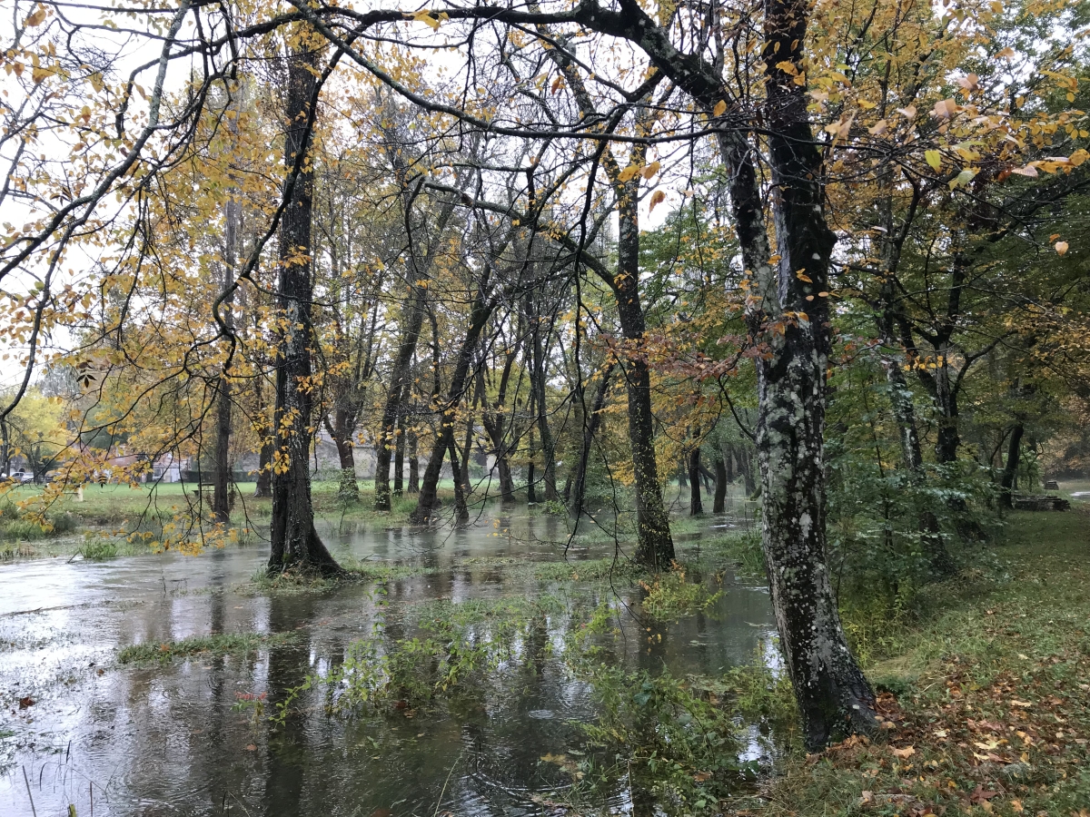 Allée inondée en aval de la Source de l'Avèze. Photo © Alex Medwedeff