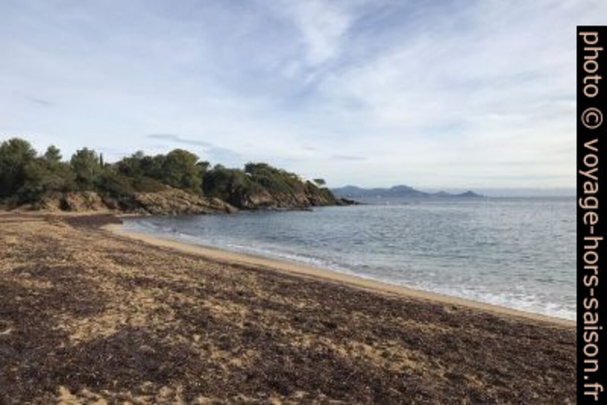 Route d'accès à la plage de la Gaillarde. Photo © Alex Medwedeff