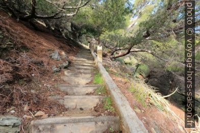 L'escalier de la Pointe de St. Selon. Photo © André M. Winter