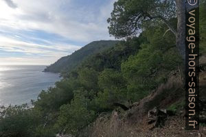 Vue vers la Pointe des Jonquiers. Photo © André M. Winter