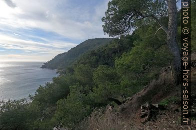 Vue vers la Pointe des Jonquiers. Photo © André M. Winter