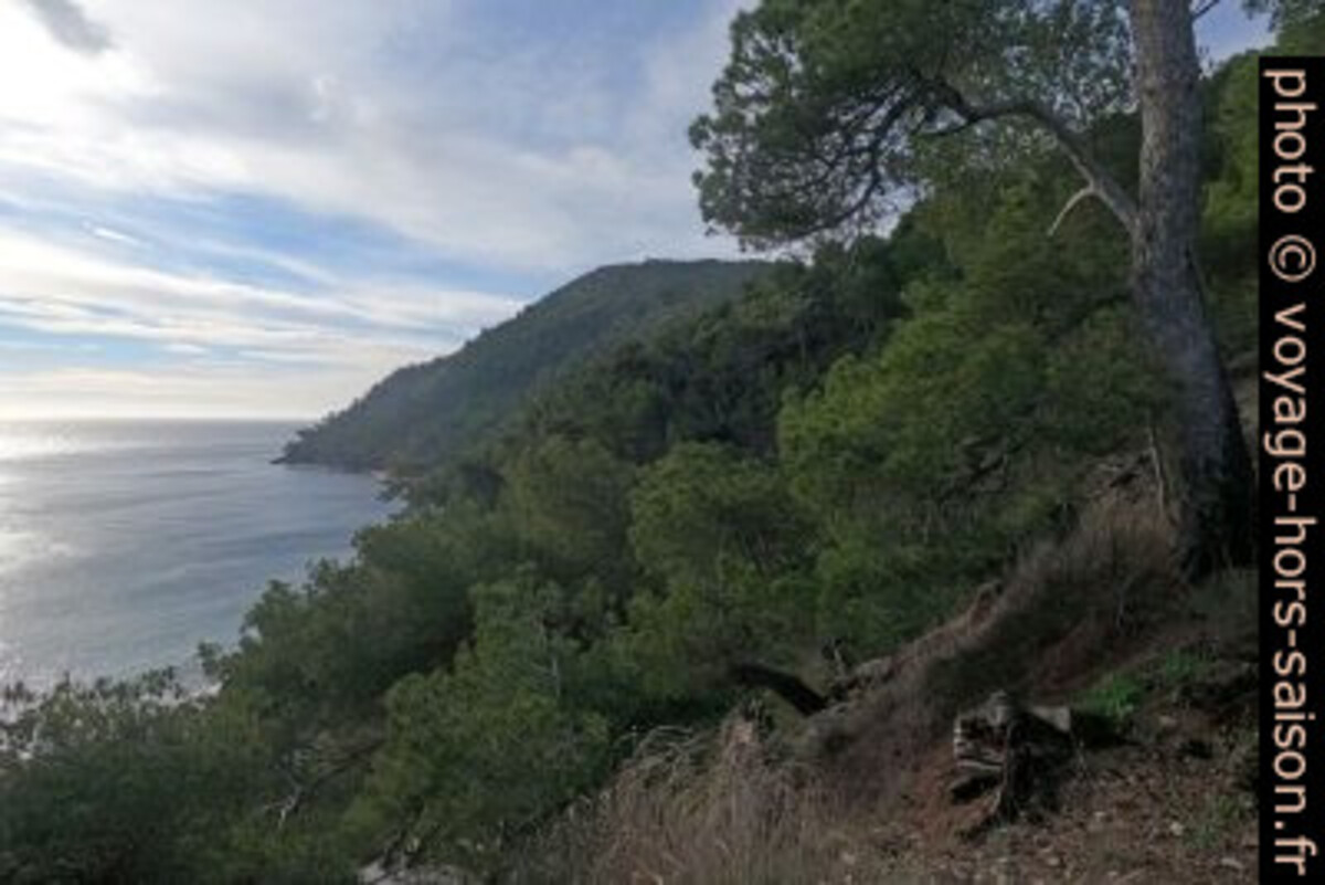 Vue vers la Pointe des Jonquiers. Photo © André M. Winter