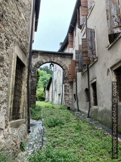 Ruelle verte près du Palazzo Cavalli. Photo © Alex Medwedeff