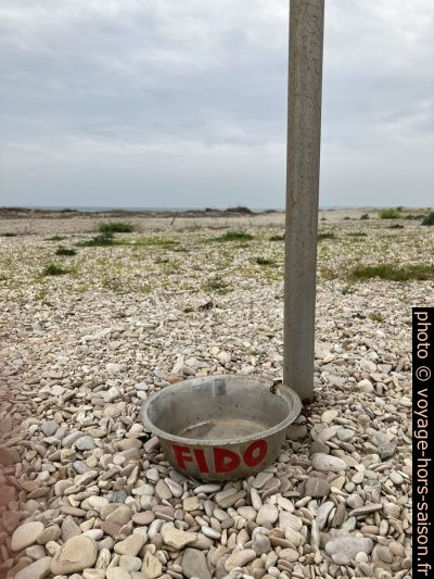 Écuelle pour chiens. Photo © Alex Medwedeff