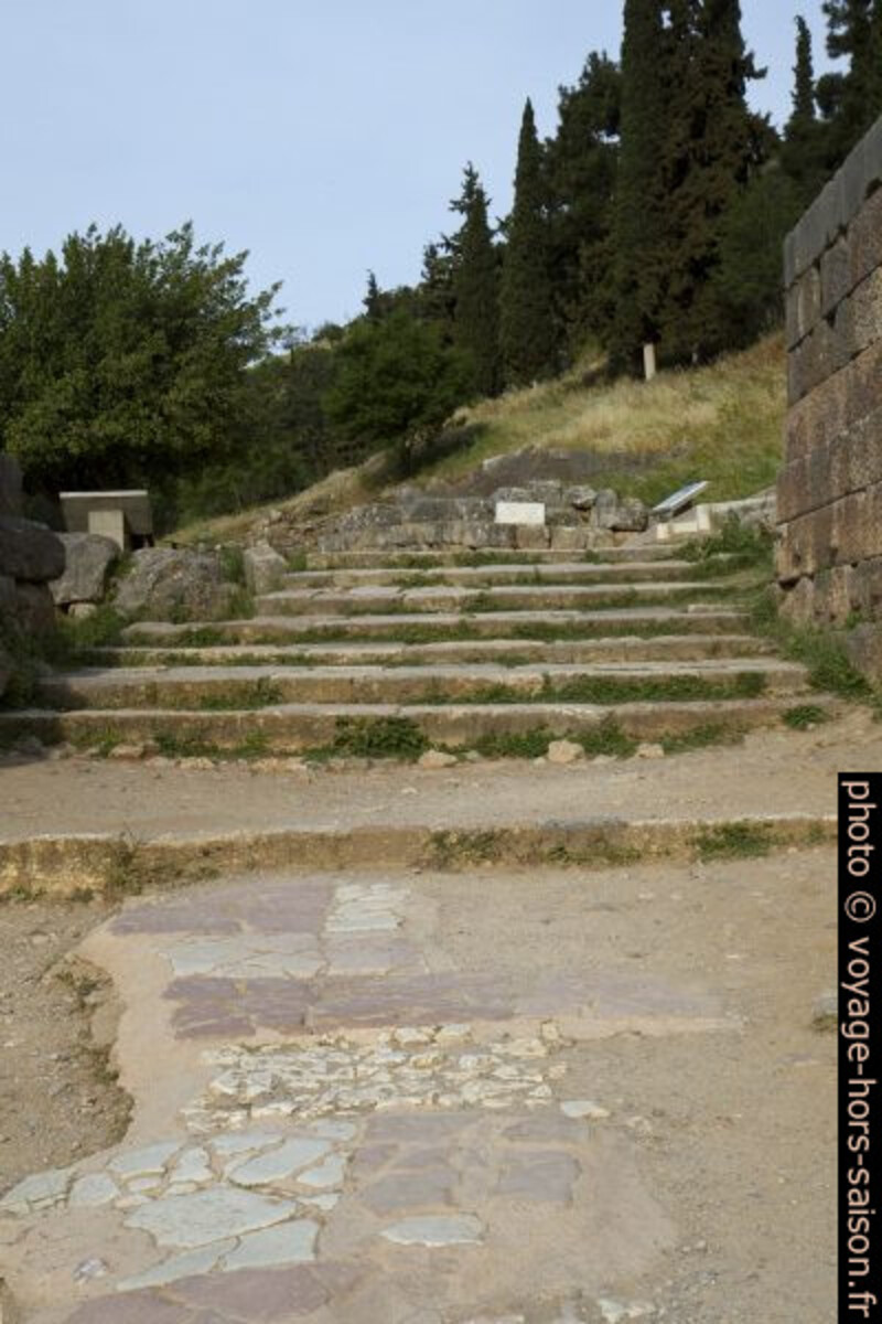 Marches de la Voie Sacrée de Delphes. Photo © Alex Medwedeff