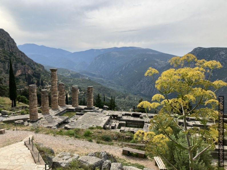 Dalles du Temple d'Apollon. Photo © Alex Medwedeff