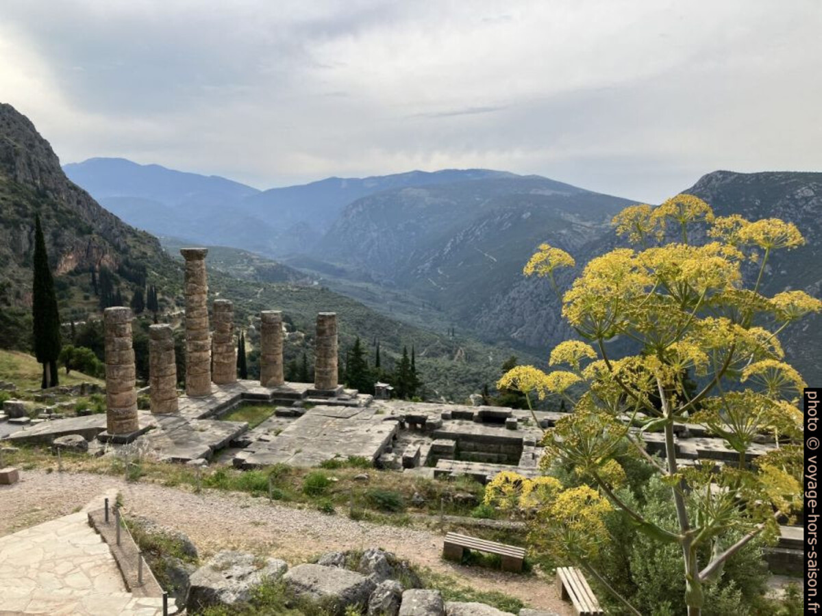 Dalles du Temple d'Apollon. Photo © Alex Medwedeff
