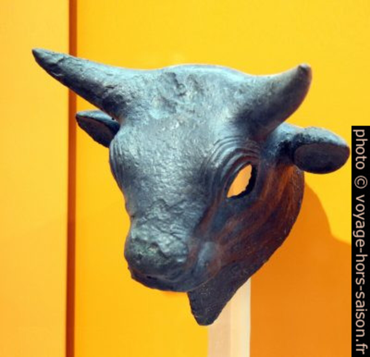 Tête de taureau en bronze. Photo © André M. Winter