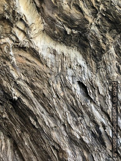 Concrétions calcaires à l'accès à la Grotte Franchthi. Photo © Alex Medwedeff