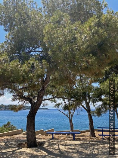 Arbres et bancs autour de la Chapelle Agios Ioannis. Photo © Alex Medwedeff