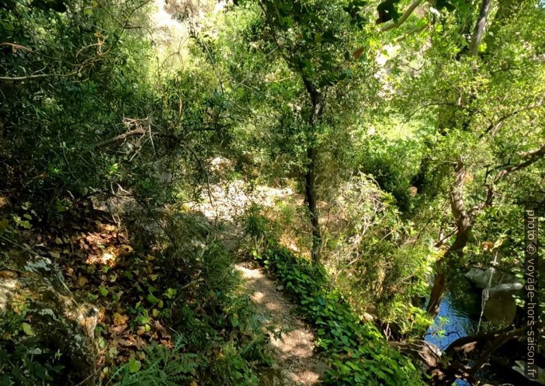 Chemin au-dessus de la rivière Diavologefyro. Photo © André M. Winter