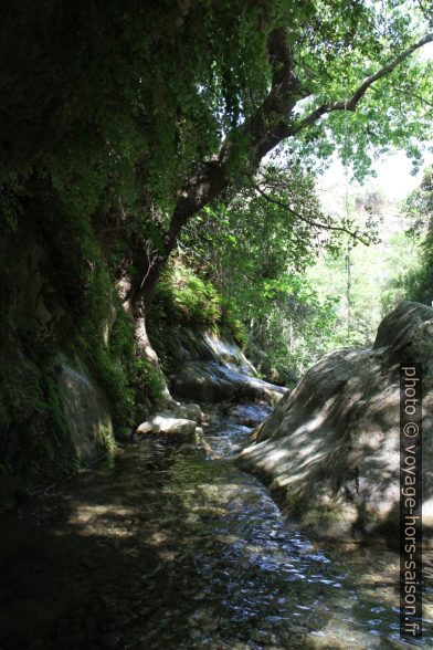 En aval du pont sur le Diavologefyro. Photo © Alex Medwedeff