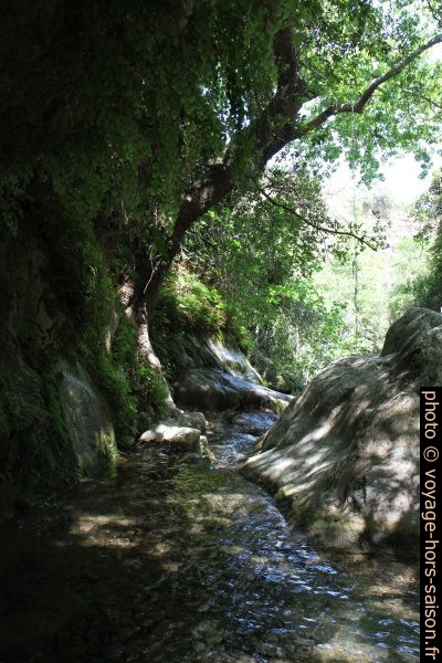 En aval du pont sur le Diavologefyro. Photo © Alex Medwedeff