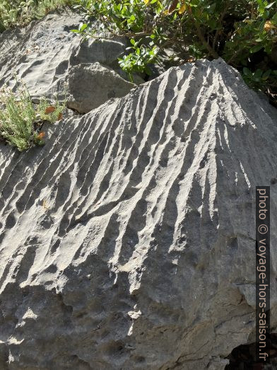 Erosion karstique. Photo © Alex Medwedeff