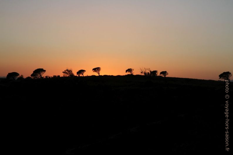 Coucher de soleil. Photo © Alex Medwedeff