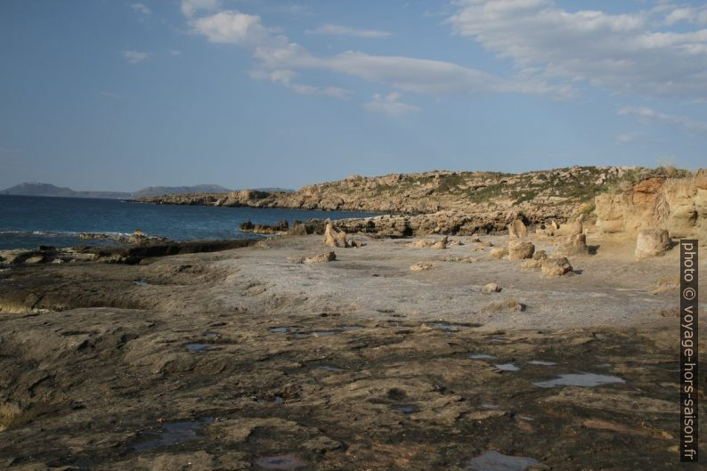 La forêt pétrifiée d'Agia Marina. Photo © Alex Medwedeff