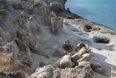 La forêt pétrifiée d'Agia Marina en bordure de côte. Photo © Alex Medwedeff