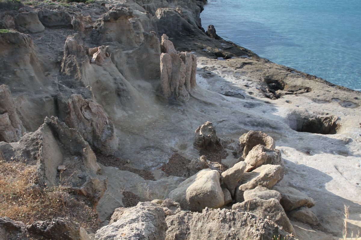 La forêt pétrifiée d'Agia Marina en bordure de côte. Photo © Alex Medwedeff