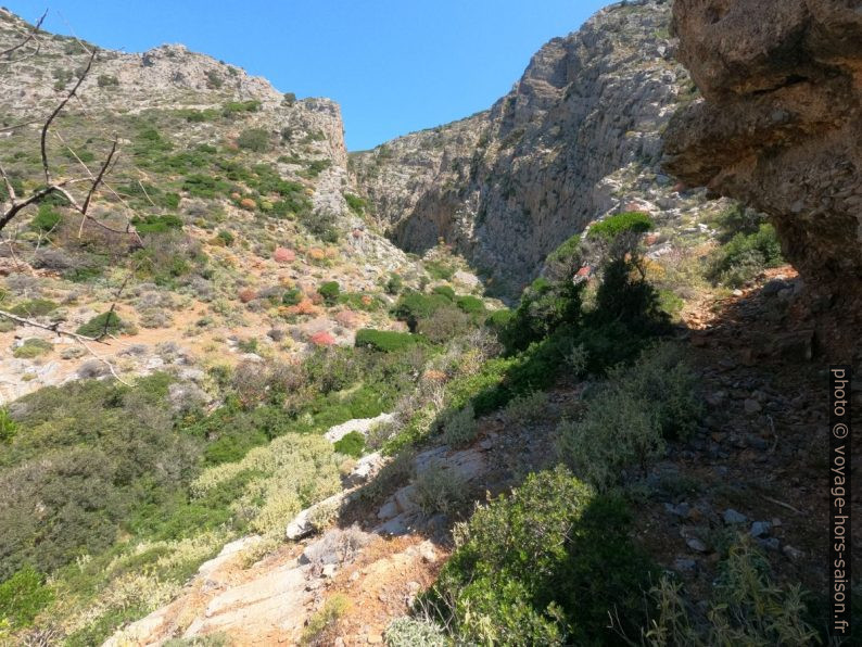 Gorges à l'ouest d'Agia Irini. Photo © André M. Winter