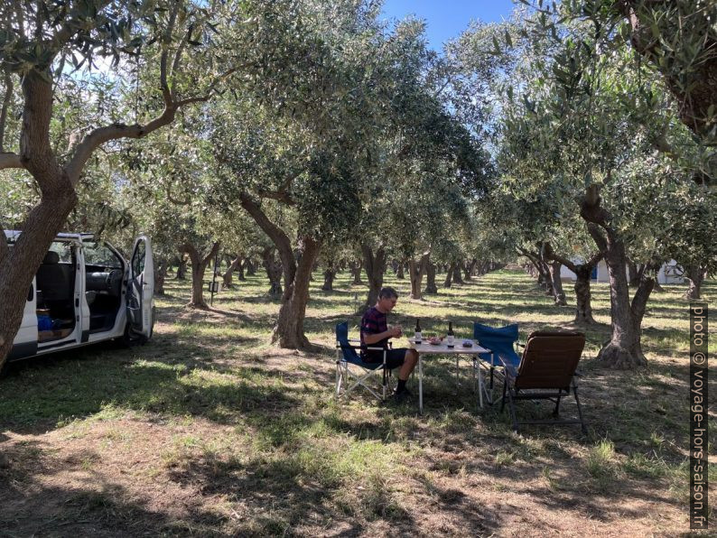 Notre emplacement dans l'oliveraie du Camping Meltemi. Photo © Alex Medwedeff