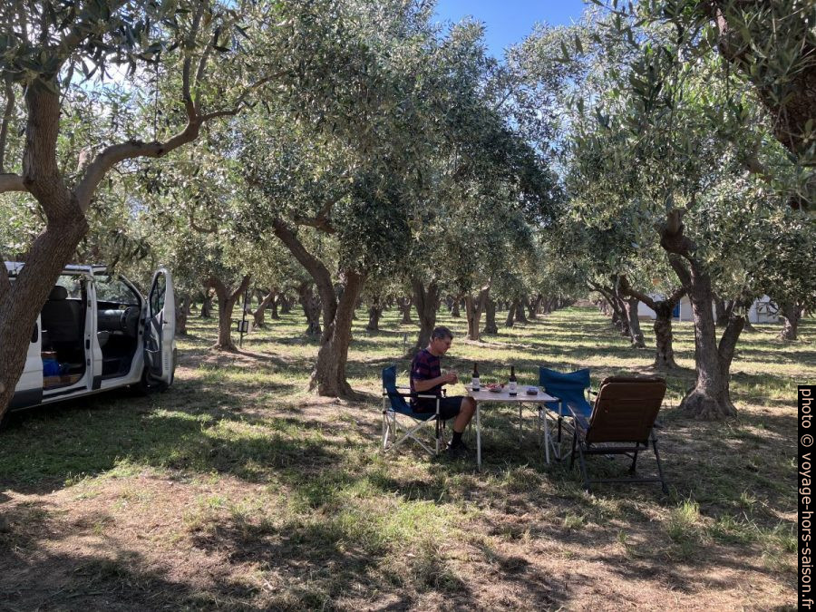 Notre emplacement dans l'oliveraie du Camping Meltemi. Photo © Alex Medwedeff
