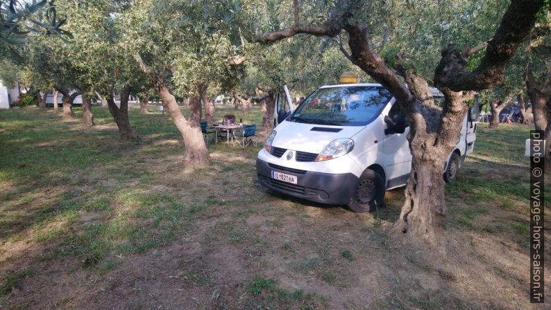 Notre emplacement dans l'oliveraie du Camping Meltemi. Photo © André M. Winter