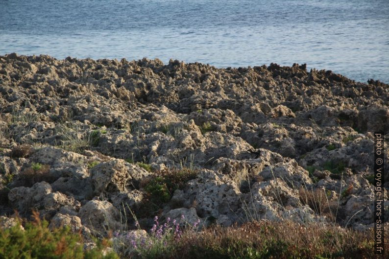 La côte calcaire érodée de Trifillia. Photo © André M. Winter