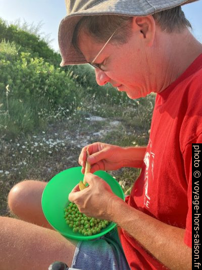 André et les petits pois. Photo © Alex Medwedeff