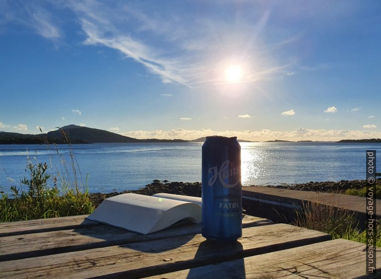 Emplacement et météo de rêve au cap Prestnaustet sur le Åfjordsstraumen