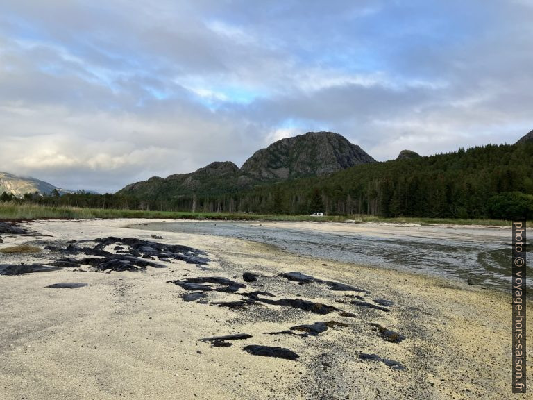 De Åfjord par Namsos et Vennesund vers Sømna