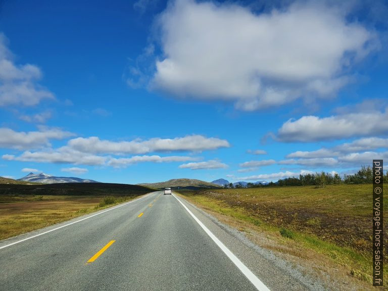 Le plateau du Saltfjell en été