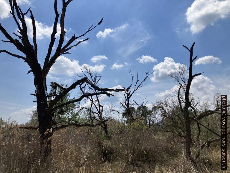 Exploration de la Poudrerie de Saint-Chamas