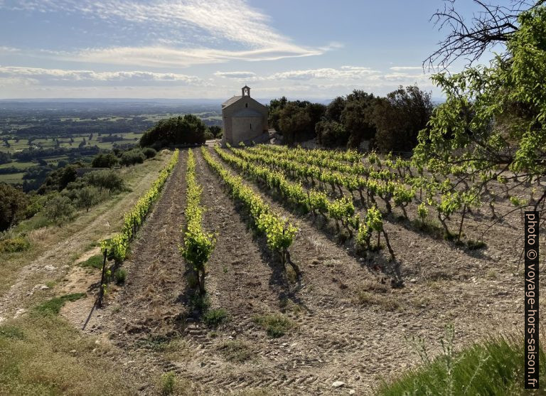 Un tour sur le Plateau des Courens à partir de Beaumes-de-Venise